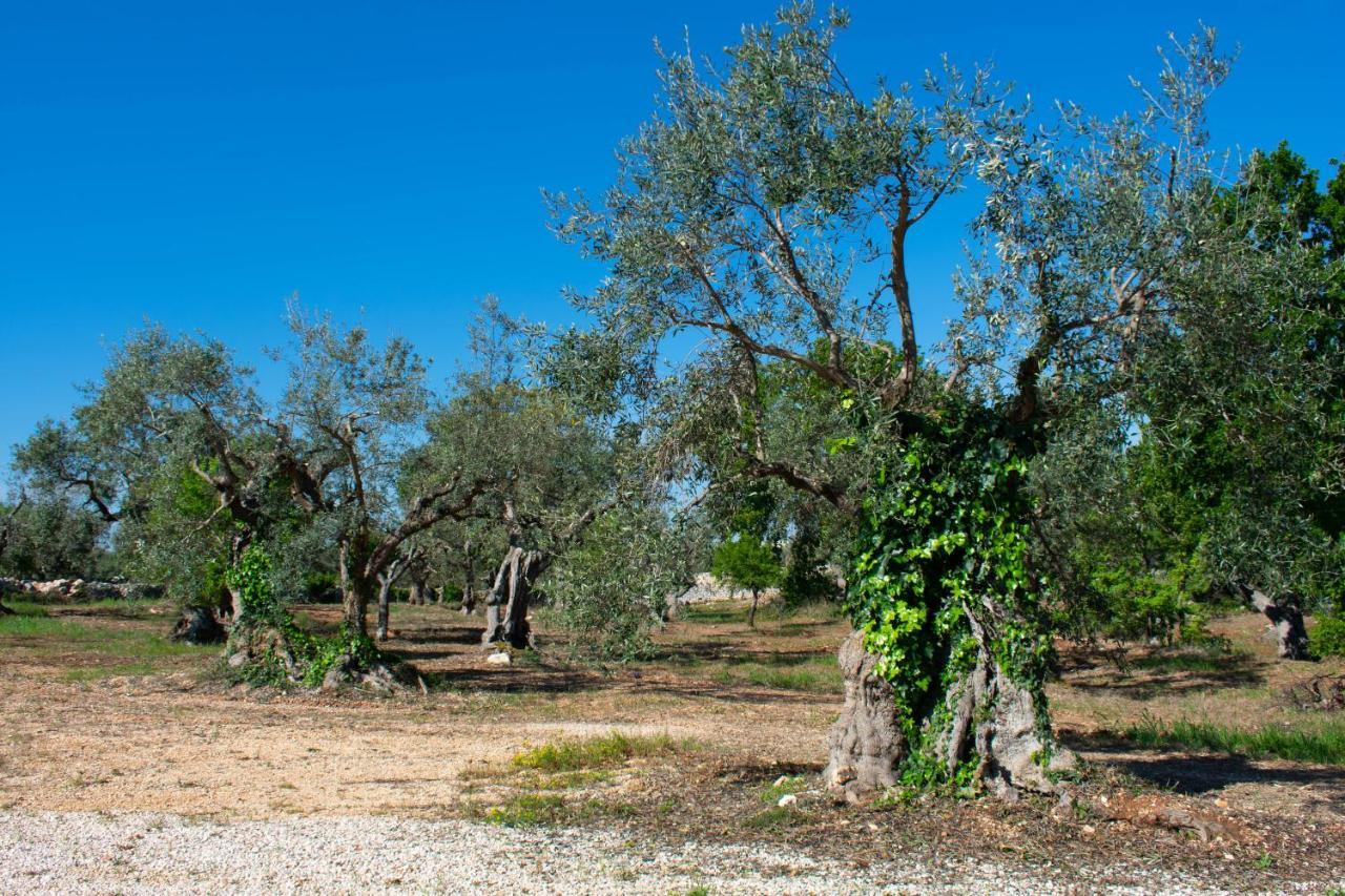 Casale Dello Zio, Private Pool By Il Pumo Di Puglia Villa Castellana Grotte Eksteriør billede